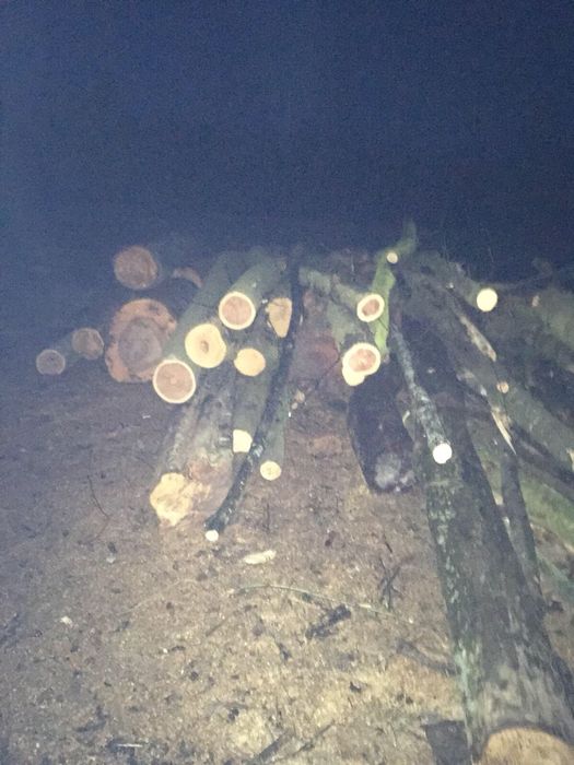 Продам дрова твердоі породи