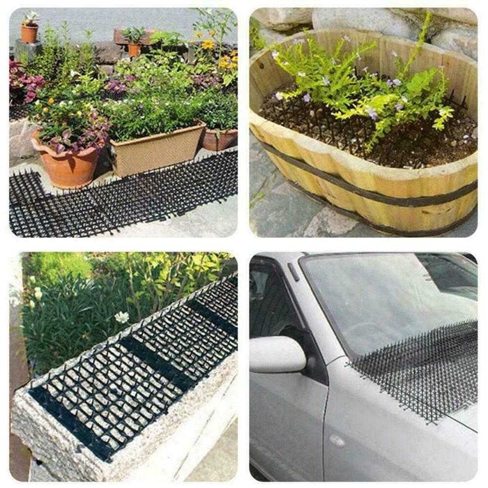 Kolce przeciwko kotom siatka z kolcami na koty kuny psy