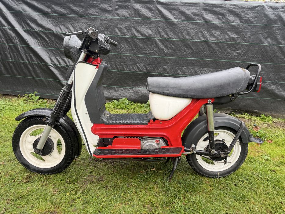 Simson