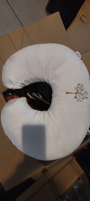 Almofada amamentação e Bebé Boppy Chicco