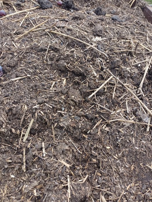 Obornik kurzy sezonowane