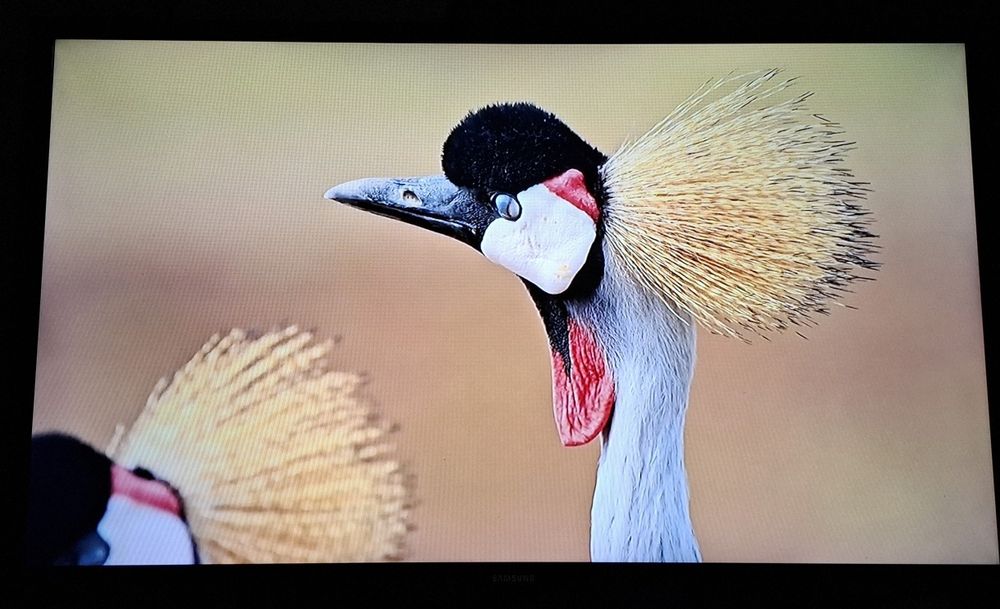 Телевізор samsung 32"