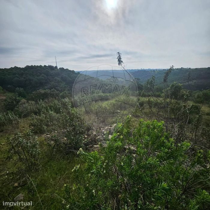 Terreno  para venda — Azinhal, Faro