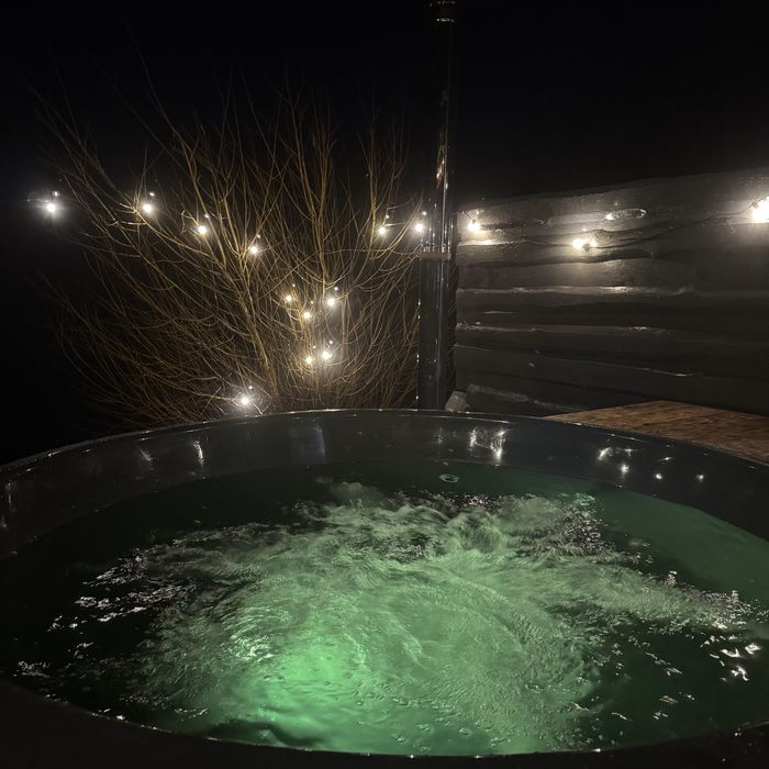 Дом посуточно, чан , баня , джакузи озеро, .лес, відпочинок