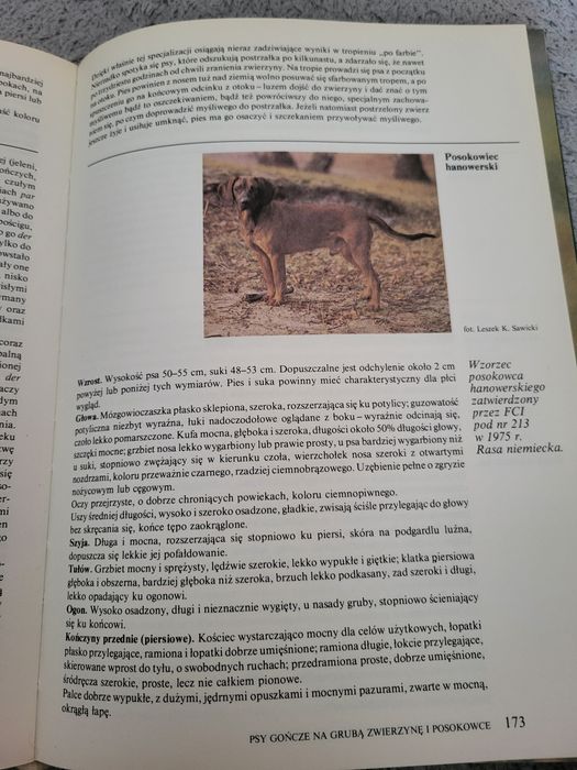 Psy rasowe w Polsce książka