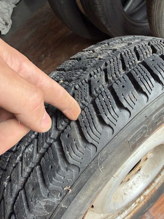 Roadstone Winguard 231 175/70 R13