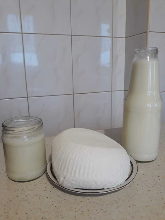 Mleko, śmietana, twaróg, jaja