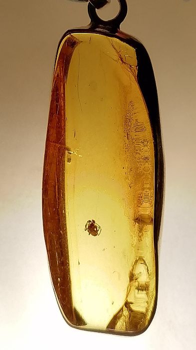 Wyroby ze srebra , srebro , bursztyn , inkluzje