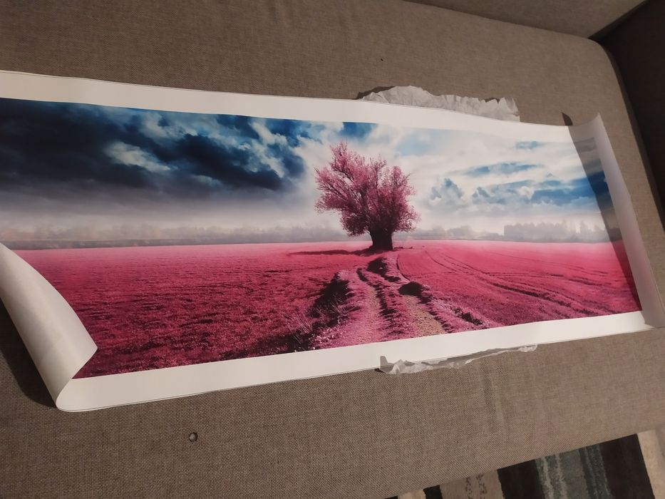 Obraz krajobraz lawenda