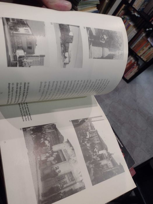 Maia: Um olhar sobre o século XX - Vítor Maia