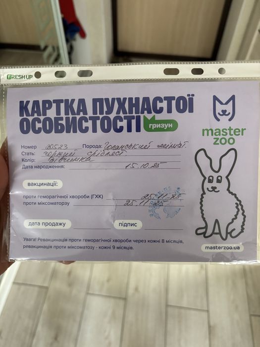 Кролик