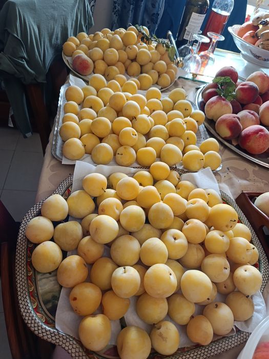 Ameixa e pêssegos Urgentes mais de 100kg