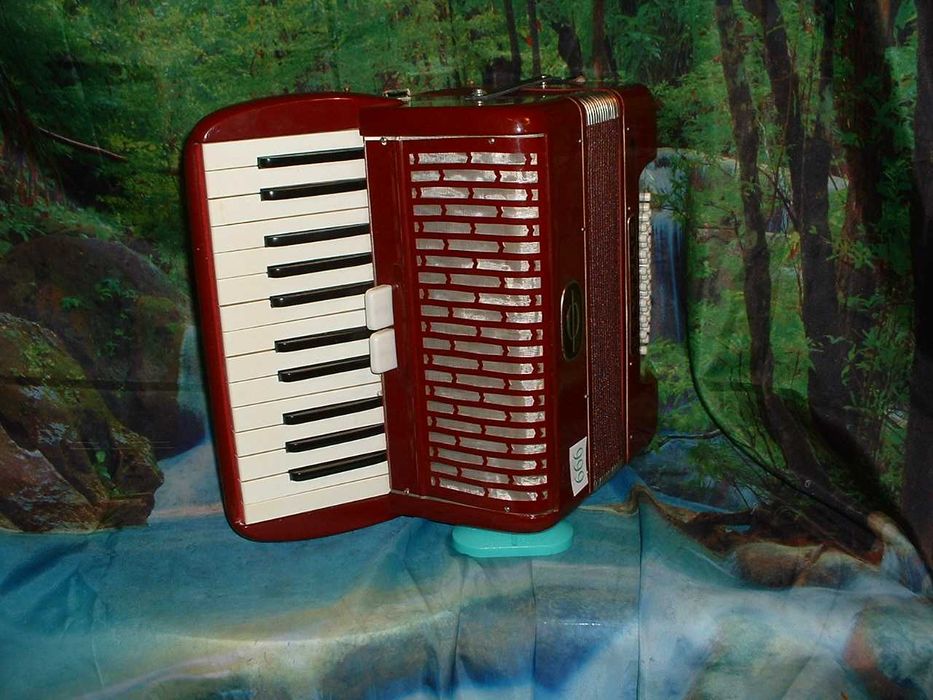 Promoção de Acordeões de concertinas
