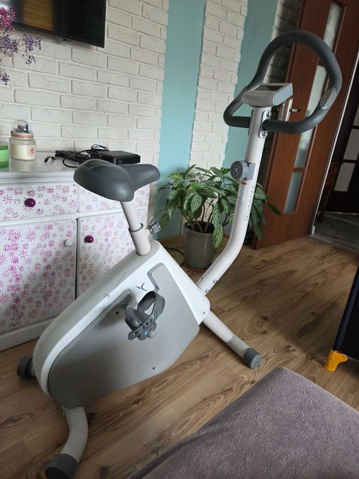 Rower stacjonarny Domyos 100