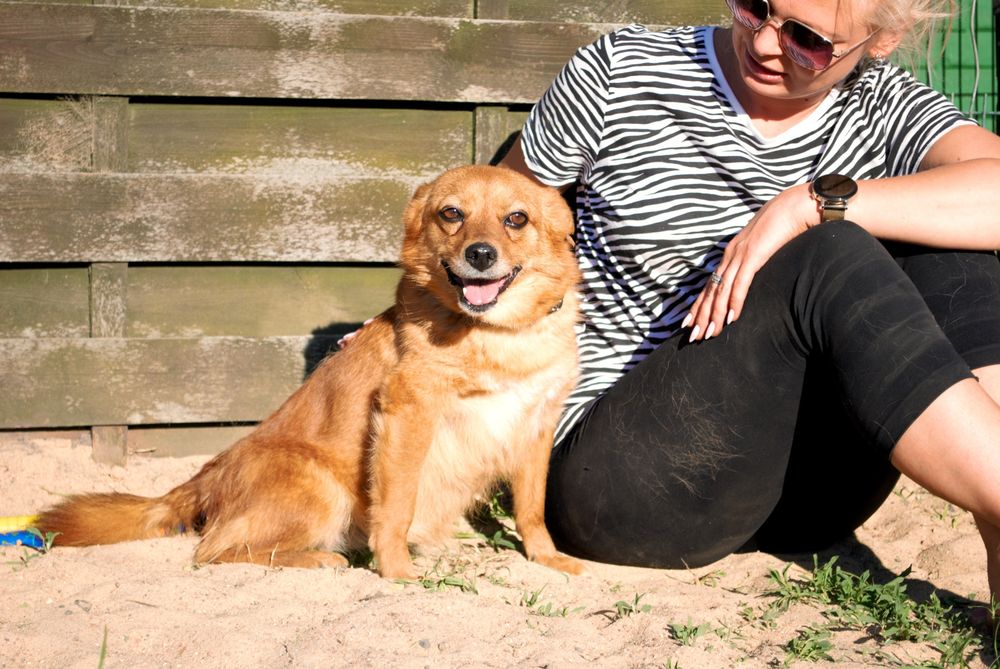 Abby prosi o adopcje