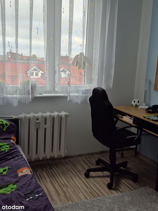 Zdjęcie 7