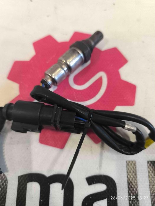 Sonda Lambda SEAT IBIZA IV 1.6 TDI (66 kW / 90 cv) [05.2009 - 05.2015] 03L906262D (OEM)