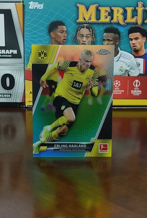 Erling Haaland - Borussia Dortmund