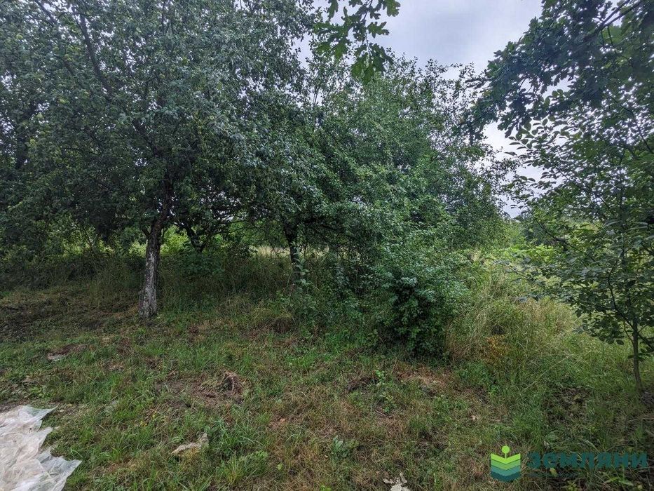 Продам дачу в Садовому Товаристві Рампа (1)