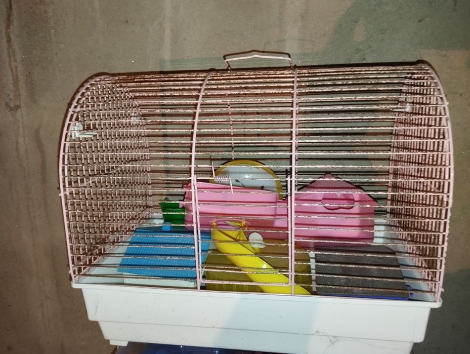 Gaiolas para amesters