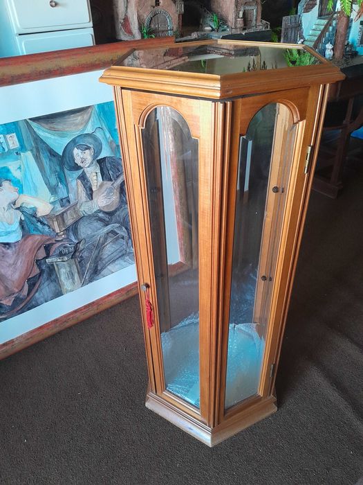 Vendo vitrine com 2 parteleiras de vidro,porto