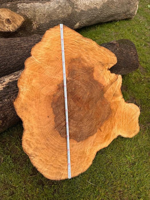 Jesion plaster pień