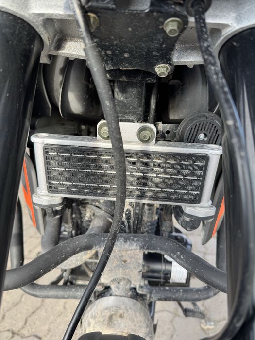 Musstang Challenge GT 250 (2024)