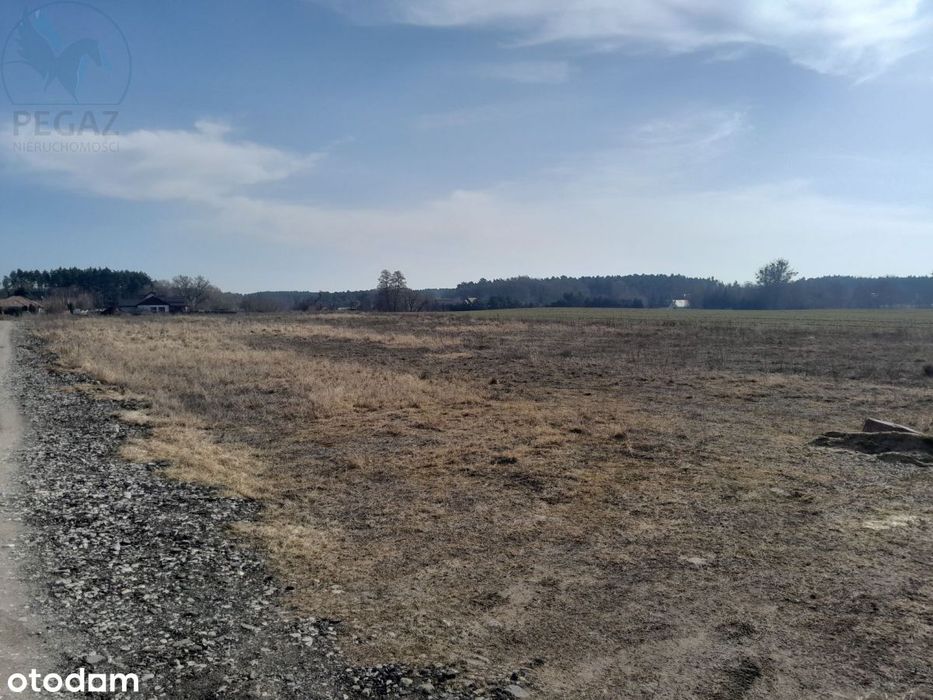 Urokliwe działki budowlane w Kuźniku pod lasem. - Widok 4