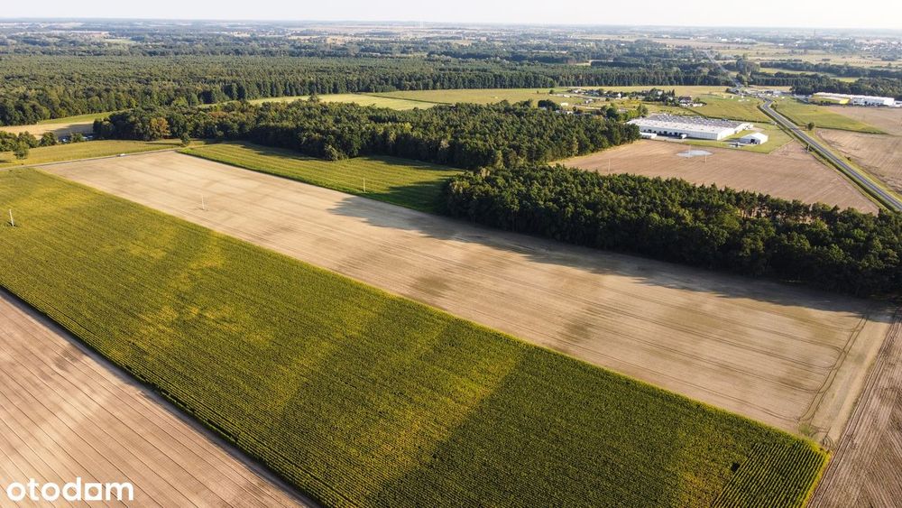 Działki budowlane Zbrudzewo k/Śremu - Widok 3