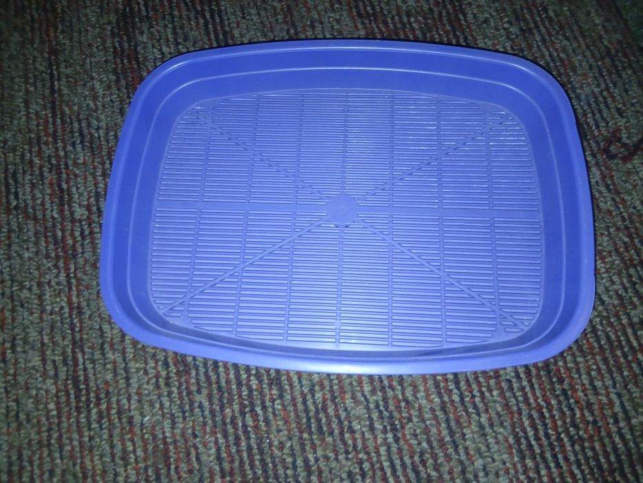 клетки для хомяков и лоток для кота