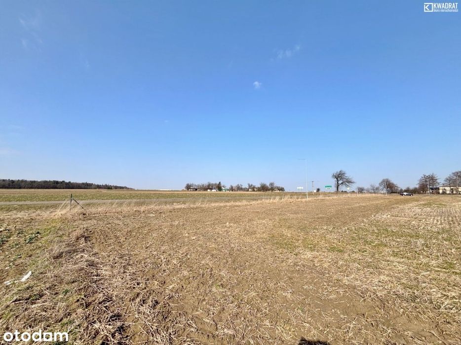 Jabłonna - Wierciszów - działka budowlana - 9 a