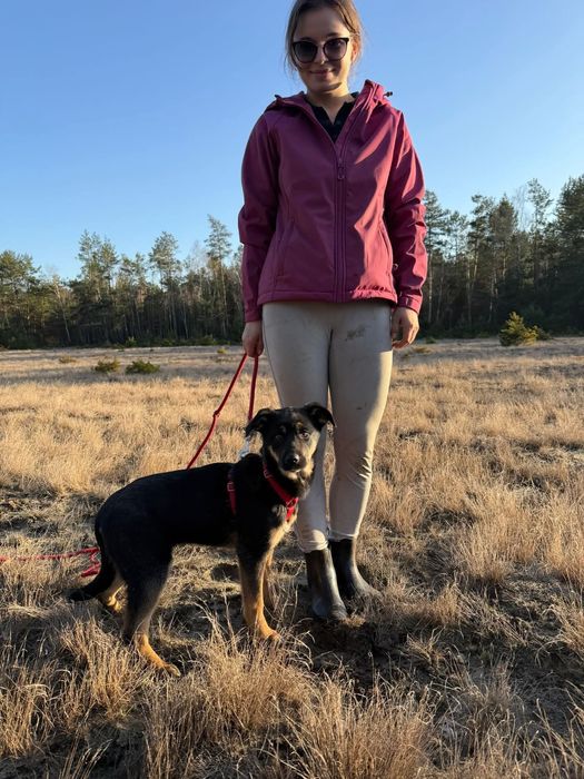 Biedna młodziutka Figa błaga o dom zza krat