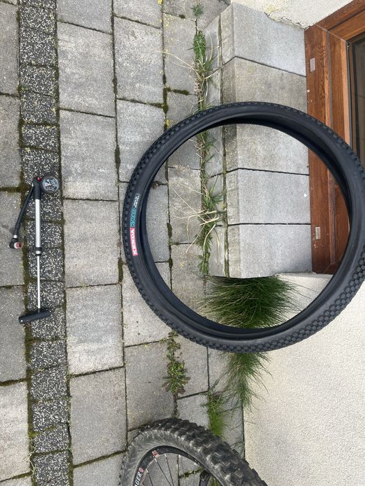 Rower trek liquid 30+ gratisy