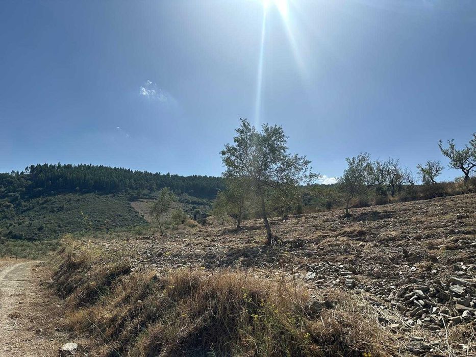 Terreno agrícola - 8,42 hectares
