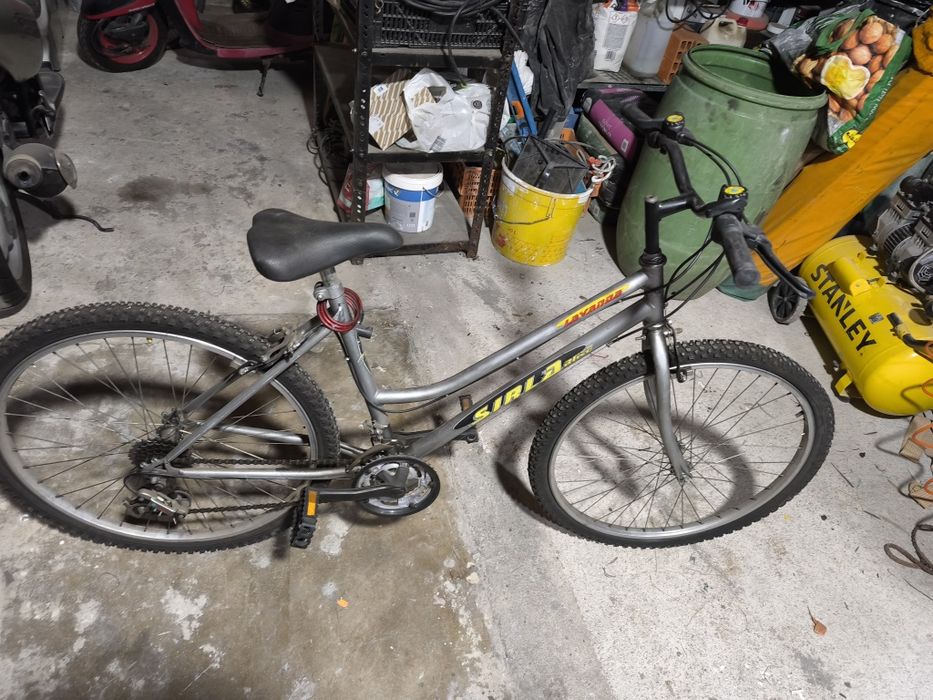 Bicicleta adulto