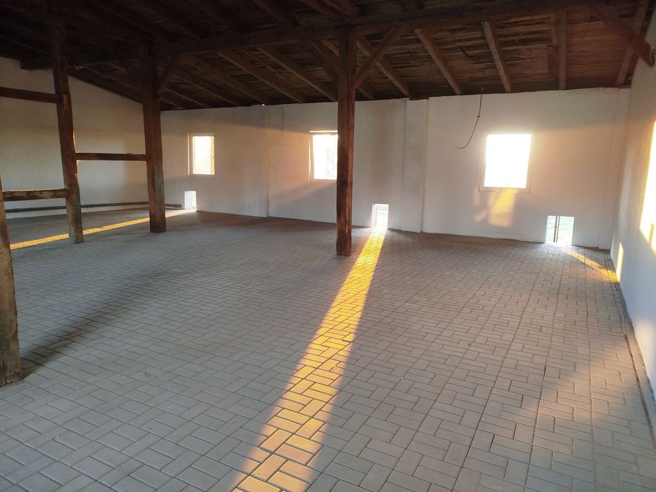 Usługi brukarskie usługi ogólnobudowlane prace ziemne wypożyczalnia