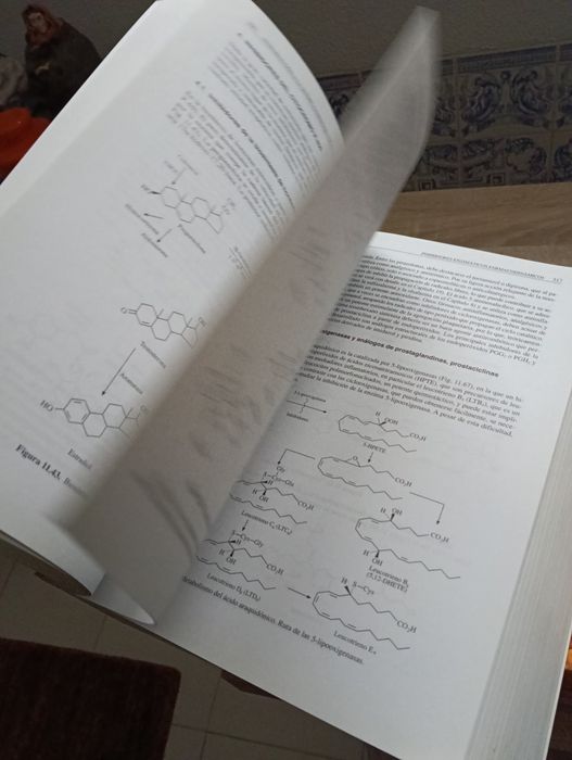 “Livro Introducción a la Química Farmacéutica – C. Avendaño – 2ª ed