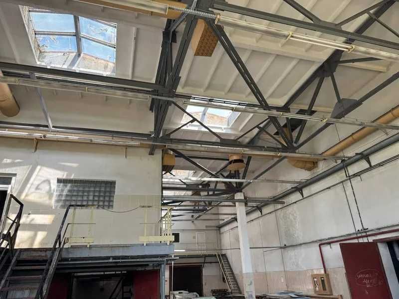 Цех по переробці шкірсировини, 4885 м2, Промисловий центр урочище, 6А