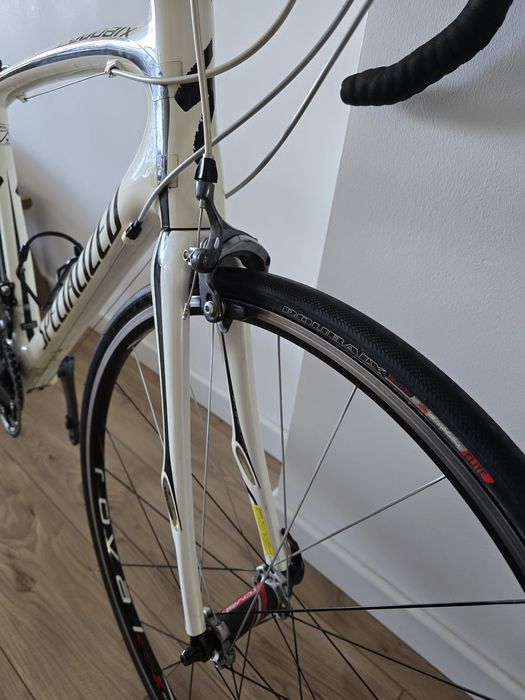 Specialized em carbono
