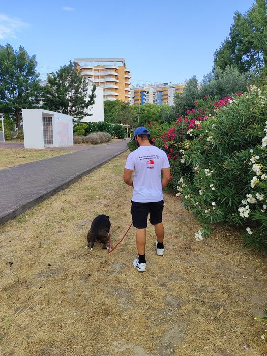 Passear cães / Dog walker