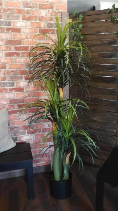 Palmeiras lindissimas 170 cm para decorações
