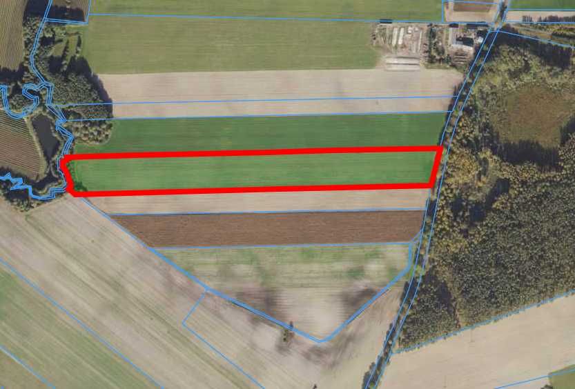 Sprzedam grunty rolne o pow. 5,062 ha g. Zakrzewo ob. Wiśniewka-Prochy
