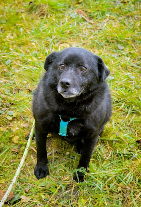 Nikt nie chce mnie pokochać