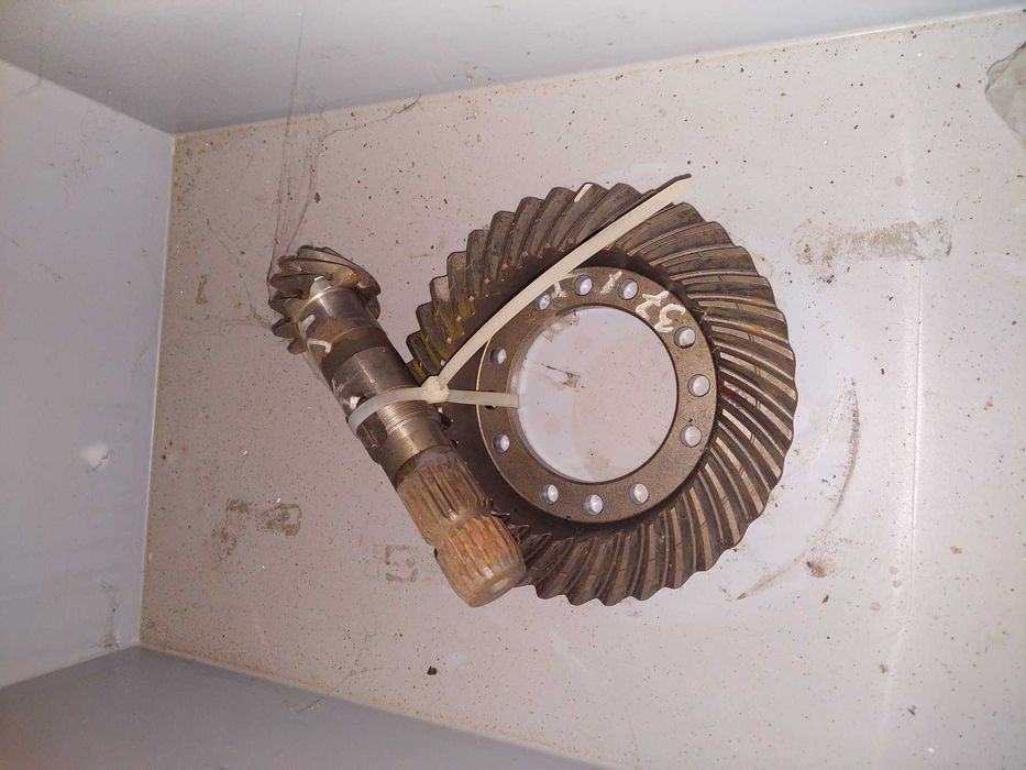 Walek talerz 9x37 carraro