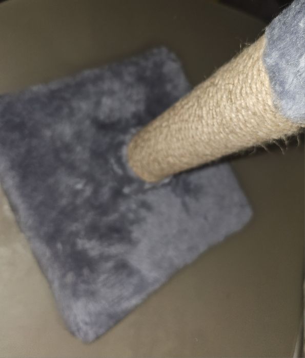 Когтеточка для котов