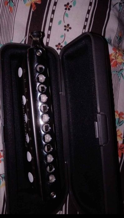 Harmonica sopros chromatica profissional 12-48tons afinados