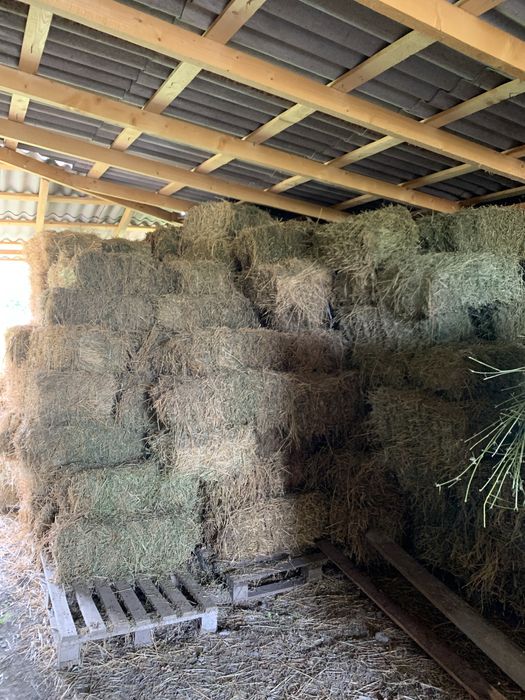 Продам люцерну в тюках