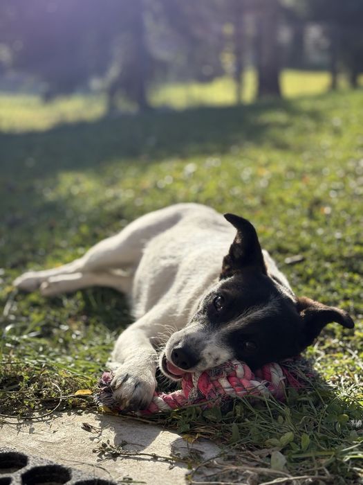Jacuś, 8-miesięczny bąbel