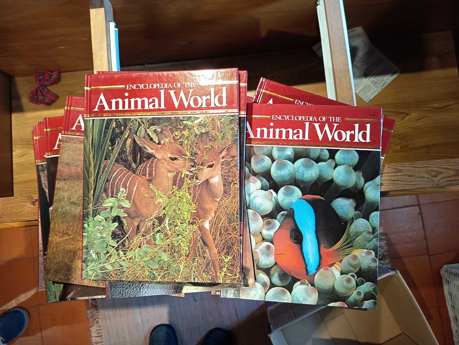 Enciclopédia do Mundo Animal (Encyclopedia of the Animal World)