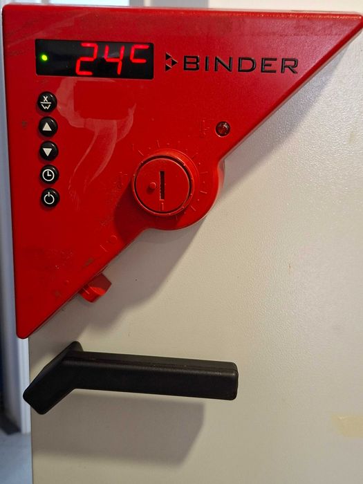 Estufa de secagem para laboratório marca Binder